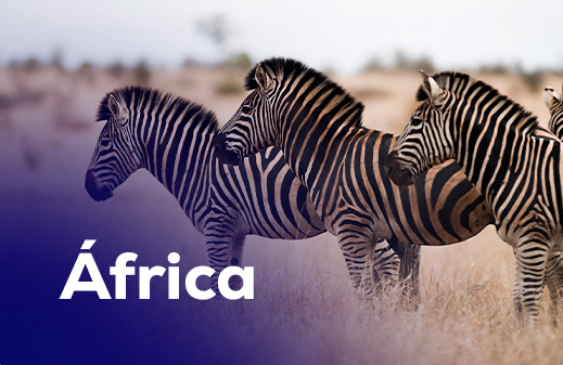 africa